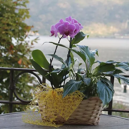 Bed & Breakfast Spiaggia Amore *